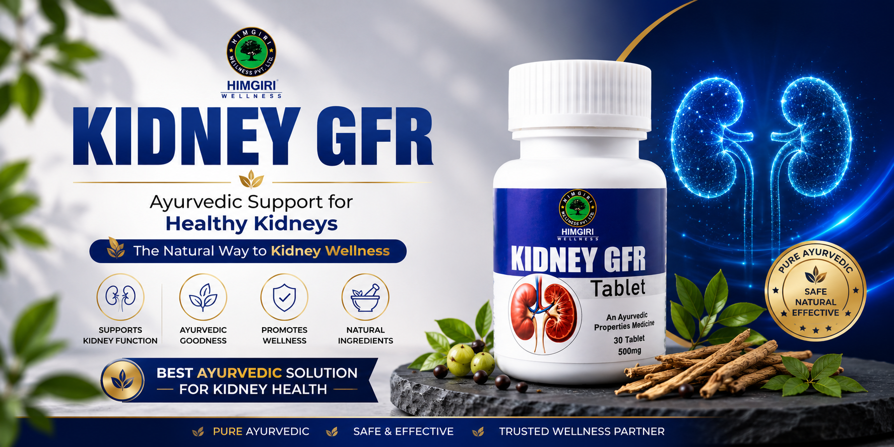 Kidney GFR